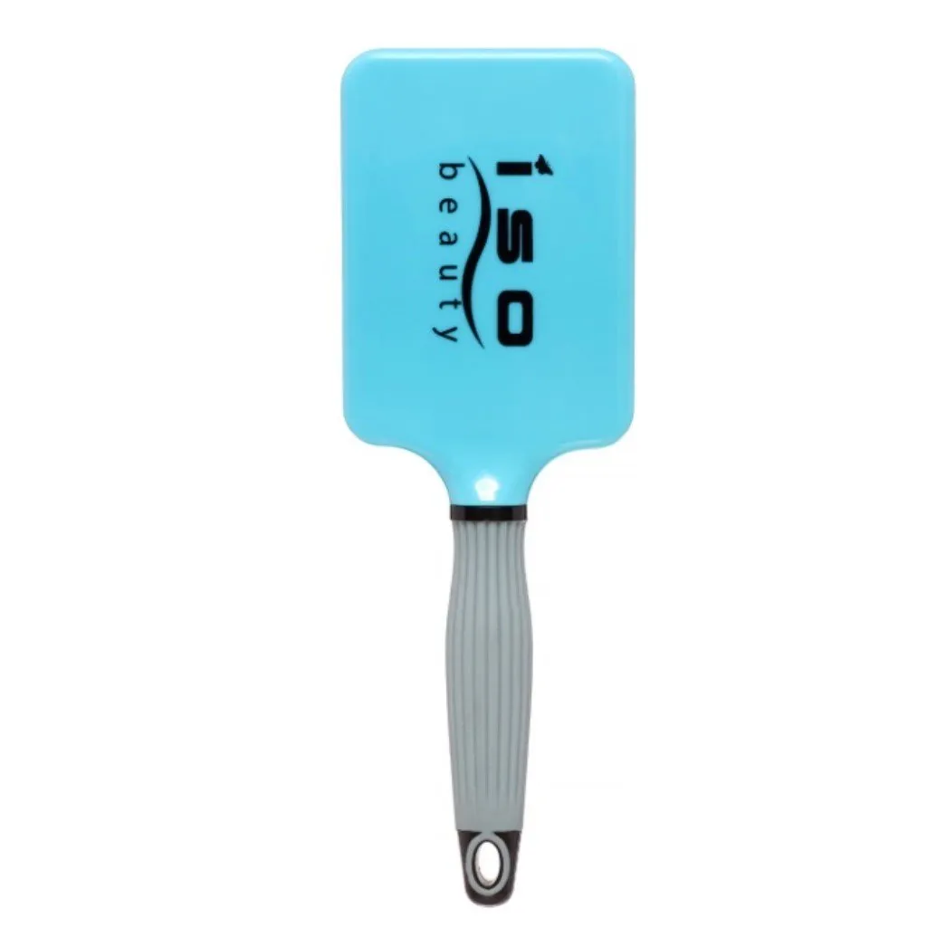 Paddle Brush | Accessory